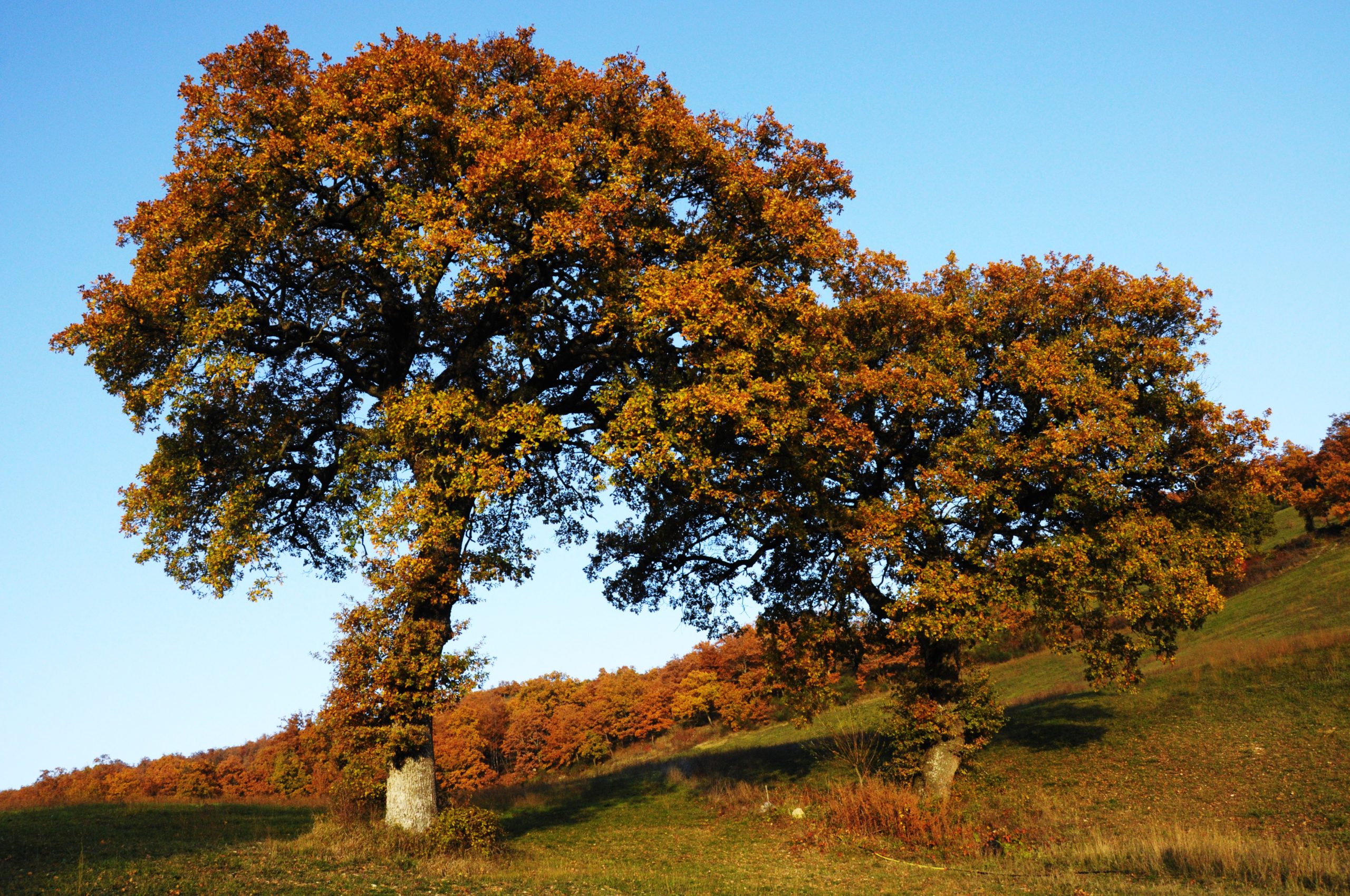 Menschen auf der Suche nach neuen Wegen